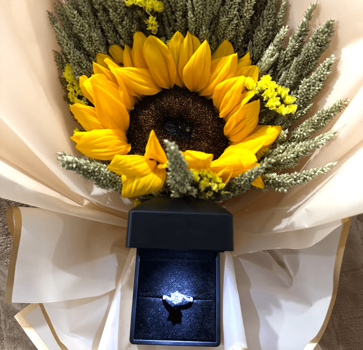 The Proposal background